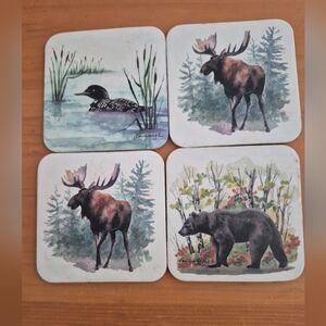 Wildlife Themed Coaster Set